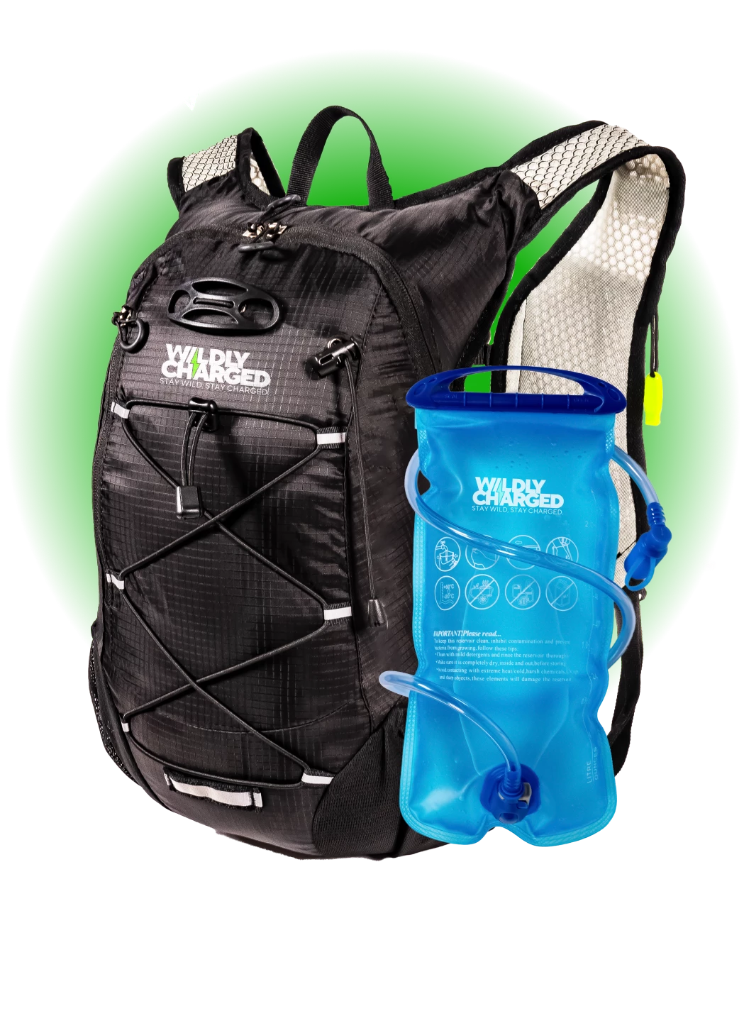 Container Backpack Bss Backpack-Container – WildlyCharged